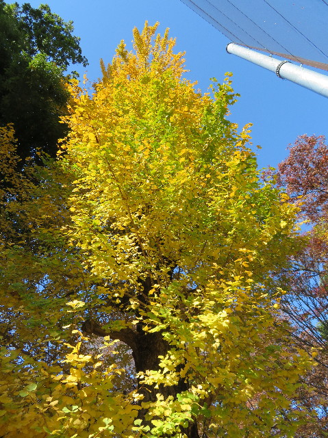 ファイル 6014-4.jpg