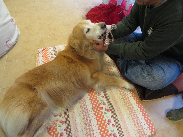 ファイル 6015-5.jpg