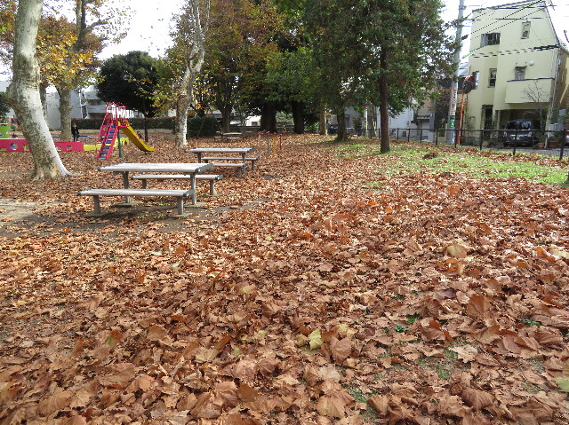 ファイル 6017-1.jpg