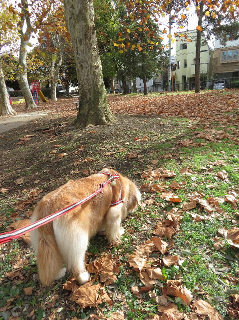 ファイル 6017-2.jpg