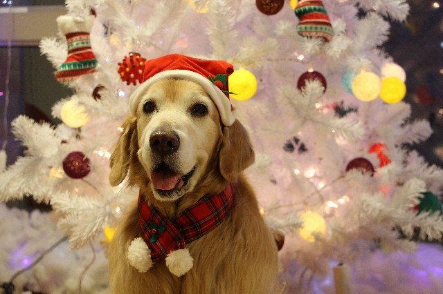 ファイル 6020-3.jpg