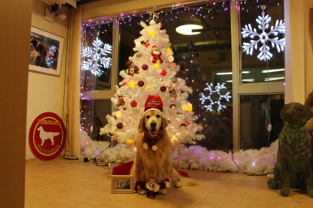 ファイル 6020-4.jpg