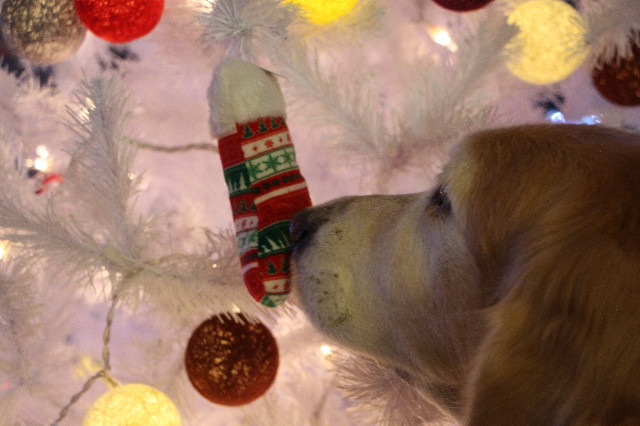 ファイル 6020-5.jpg