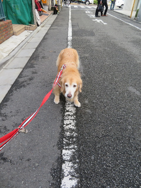 ファイル 6023-1.jpg