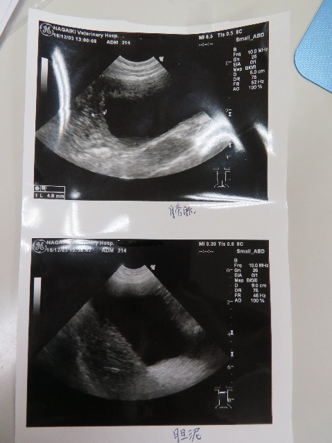 ファイル 6023-2.jpg