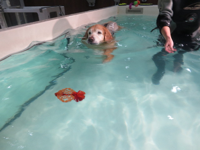 ファイル 6024-3.jpg