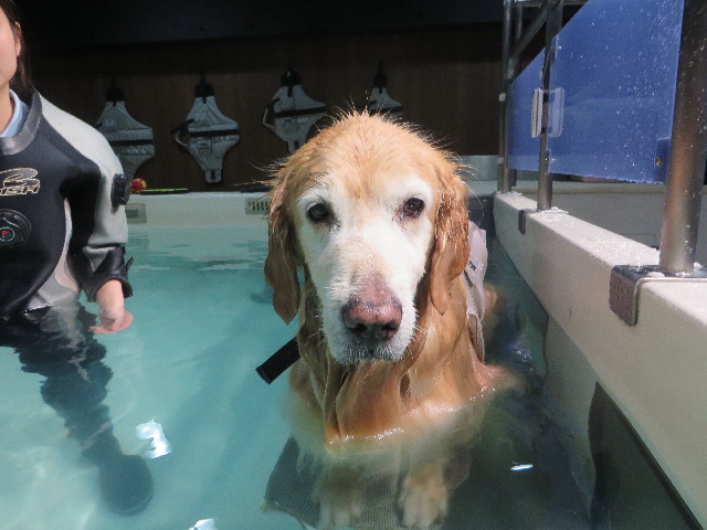 ファイル 6024-4.jpg