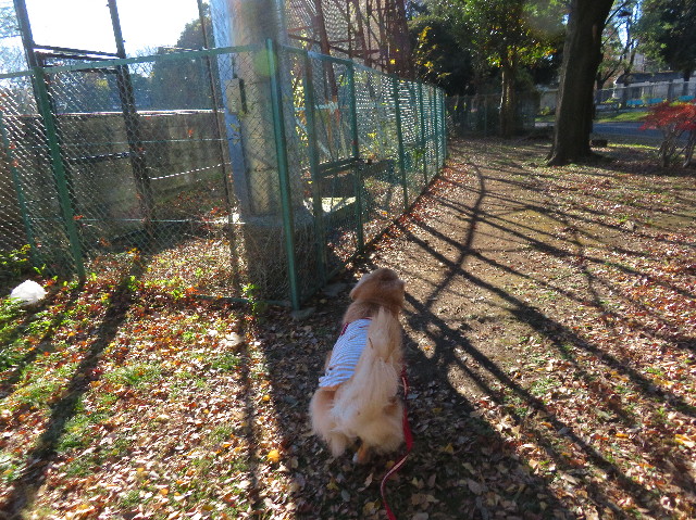 ファイル 6026-2.jpg