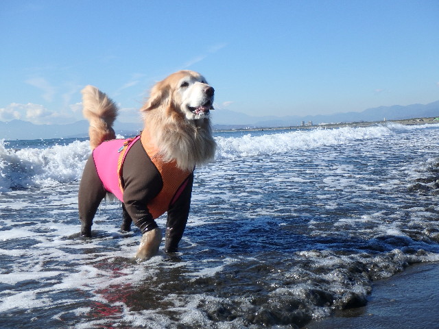 ファイル 6027-3.jpg