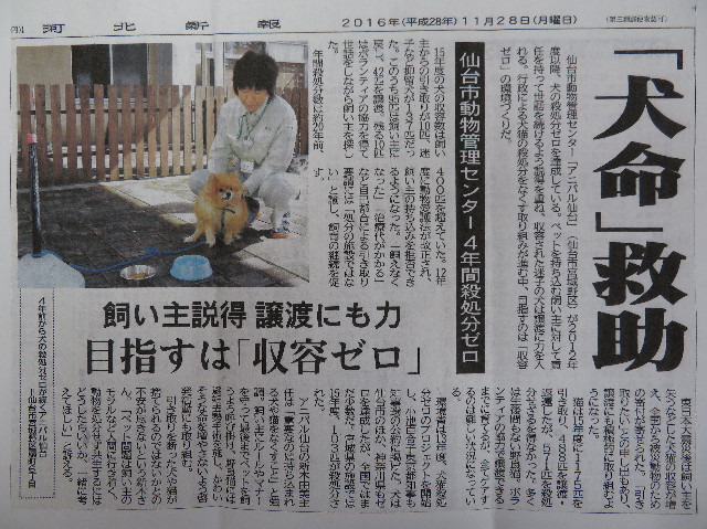 ファイル 6029-1.jpg