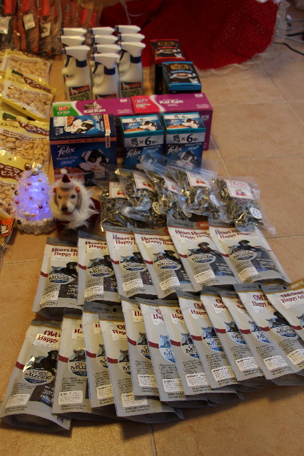 ファイル 6029-5.jpg