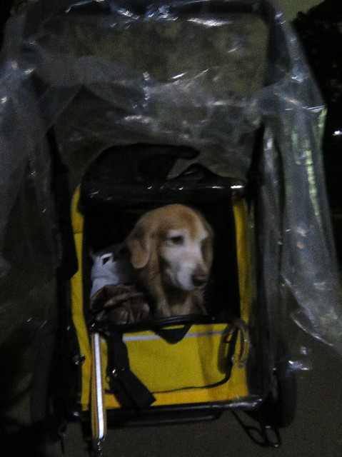 ファイル 6033-1.jpg