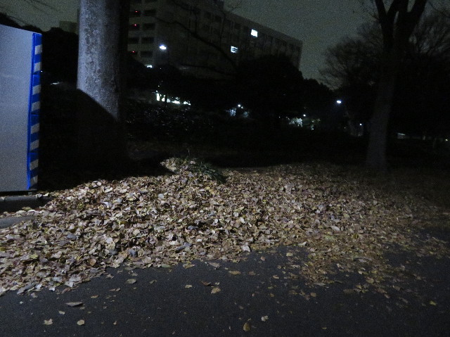 ファイル 6033-2.jpg