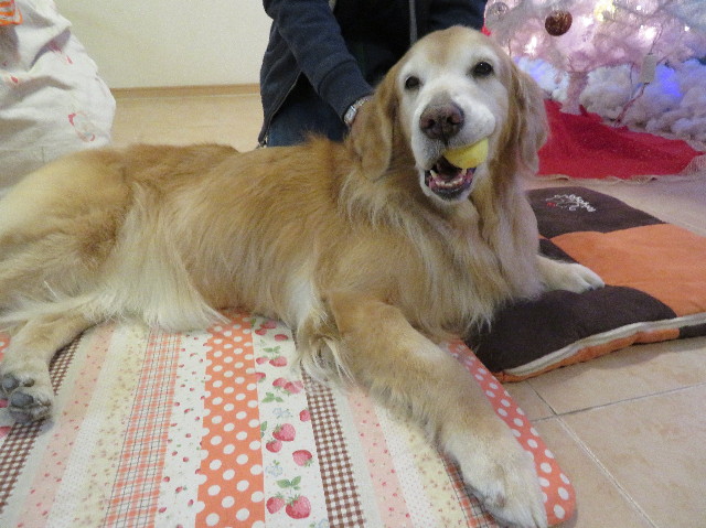 ファイル 6038-3.jpg