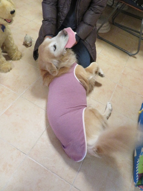 ファイル 6038-5.jpg