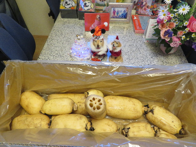 ファイル 6039-5.jpg