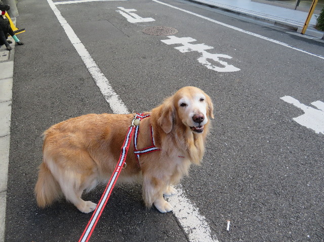 ファイル 6040-1.jpg