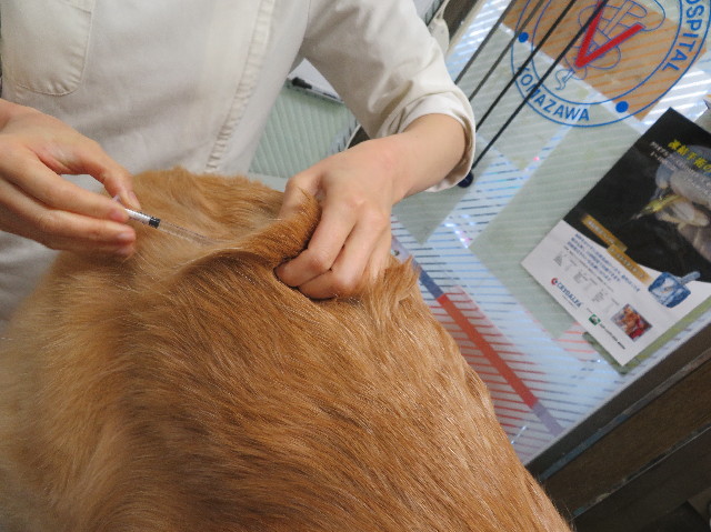 ファイル 6040-3.jpg