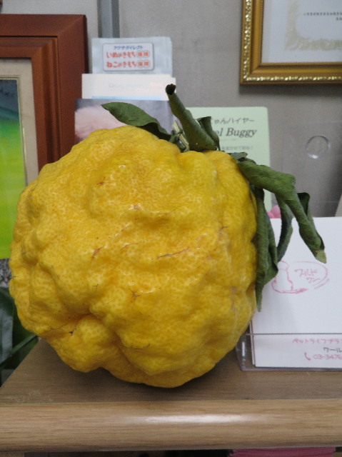 ファイル 6040-5.jpg