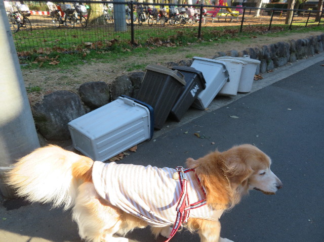 ファイル 6041-1.jpg