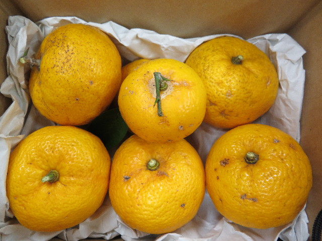 ファイル 6041-5.jpg