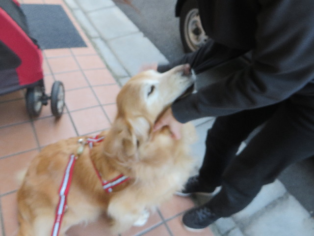 ファイル 6042-1.jpg