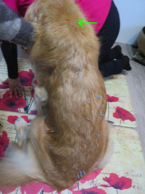 ファイル 6043-2.jpg