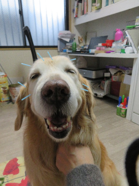 ファイル 6043-5.jpg