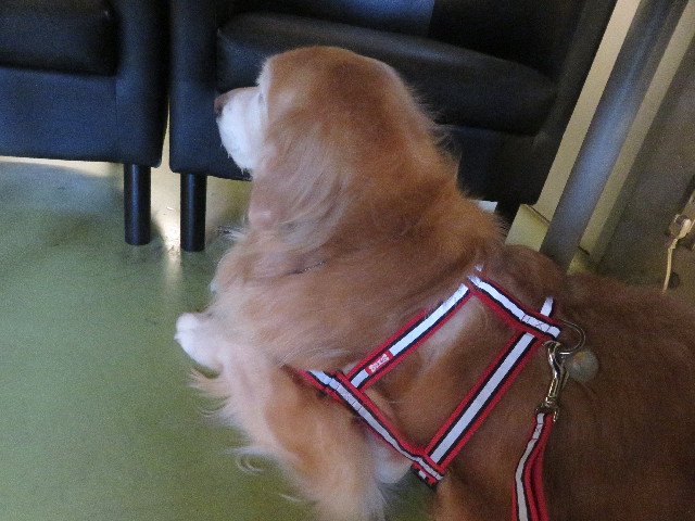 ファイル 6044-5.jpg