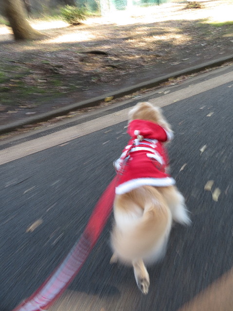 ファイル 6048-5.jpg