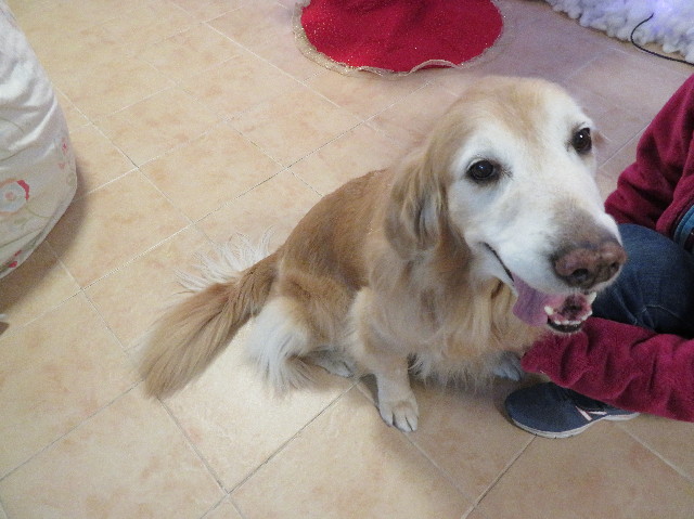 ファイル 6052-1.jpg