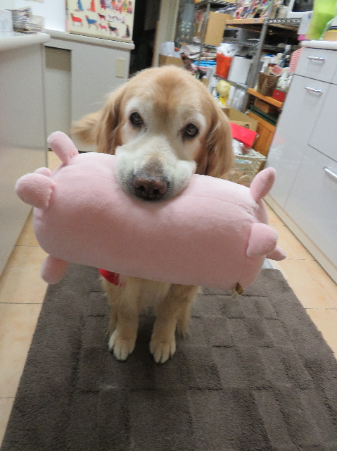 ファイル 6052-2.jpg