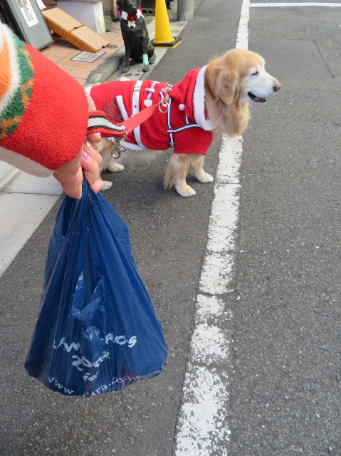 ファイル 6052-4.jpg