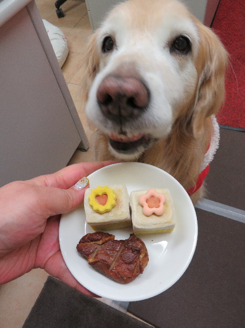 ファイル 6053-2.jpg