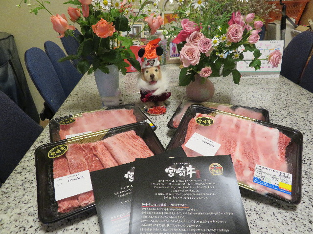 ファイル 6056-5.jpg