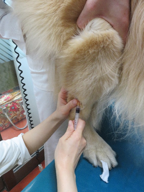 ファイル 6057-1.jpg