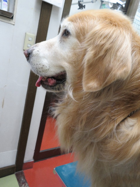 ファイル 6057-3.jpg