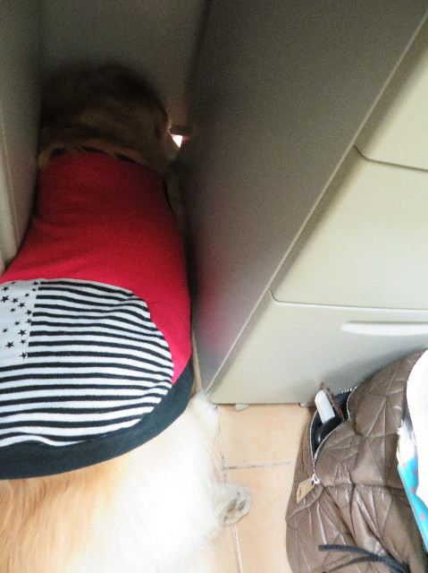 ファイル 6057-4.jpg