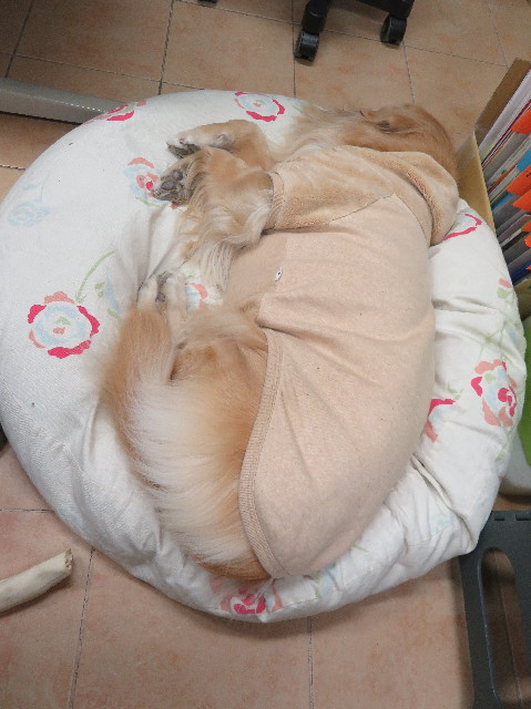 ファイル 6057-5.jpg