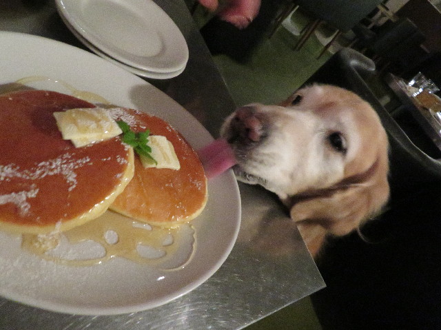 ファイル 6058-3.jpg