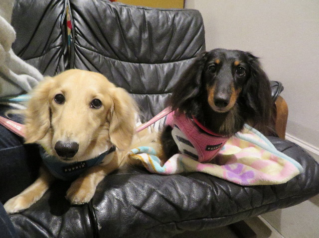 ファイル 6058-4.jpg