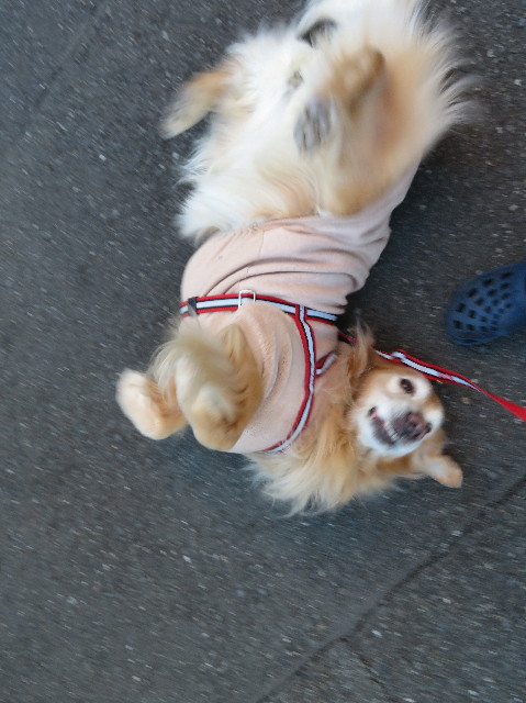 ファイル 6059-4.jpg