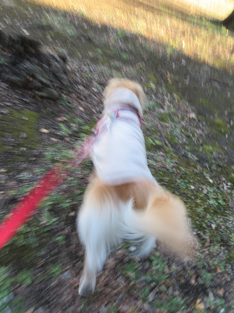 ファイル 6059-5.jpg