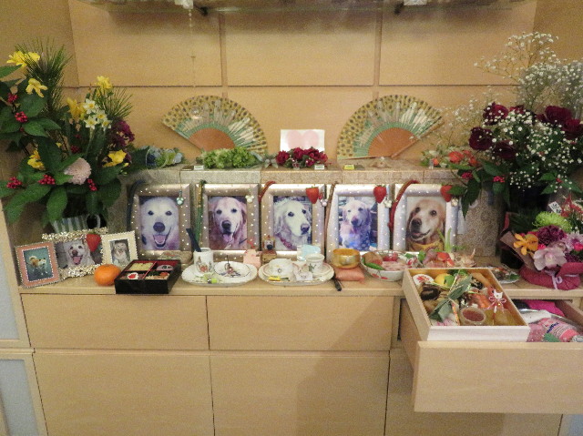 ファイル 6062-1.jpg