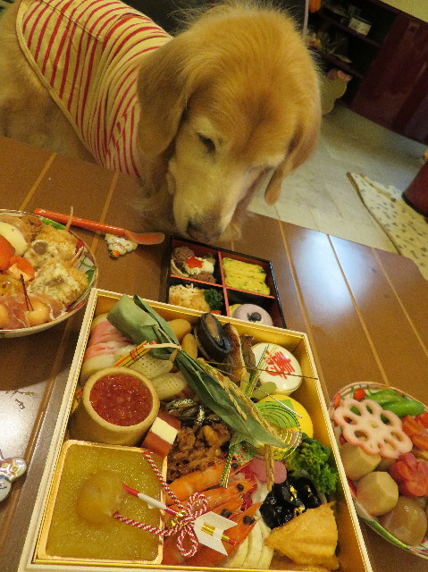 ファイル 6062-2.jpg