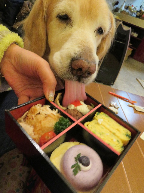 ファイル 6062-3.jpg