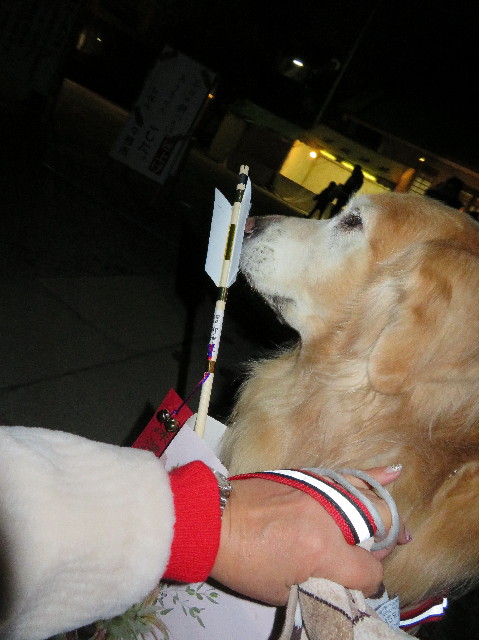 ファイル 6062-4.jpg