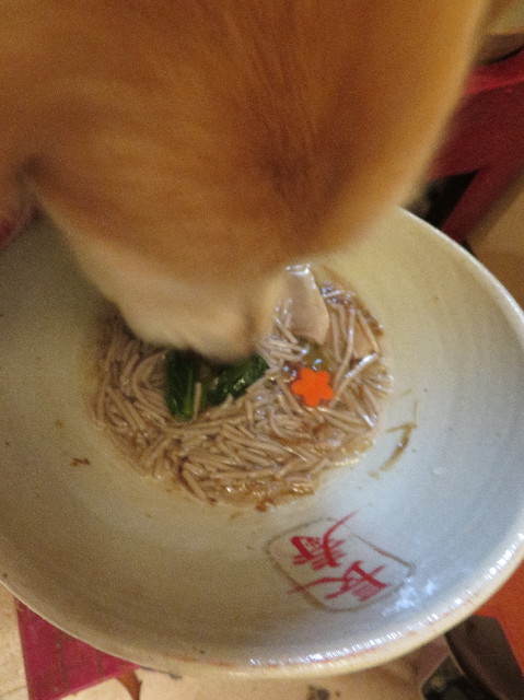 ファイル 6062-5.jpg