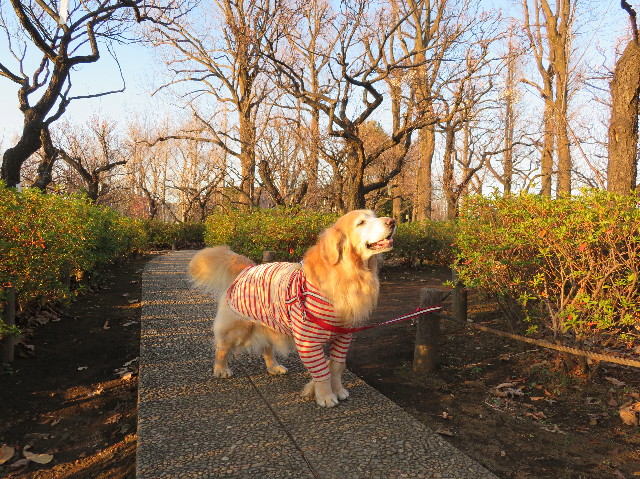 ファイル 6063-1.jpg