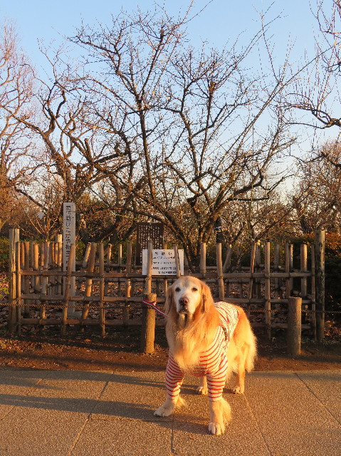 ファイル 6063-2.jpg